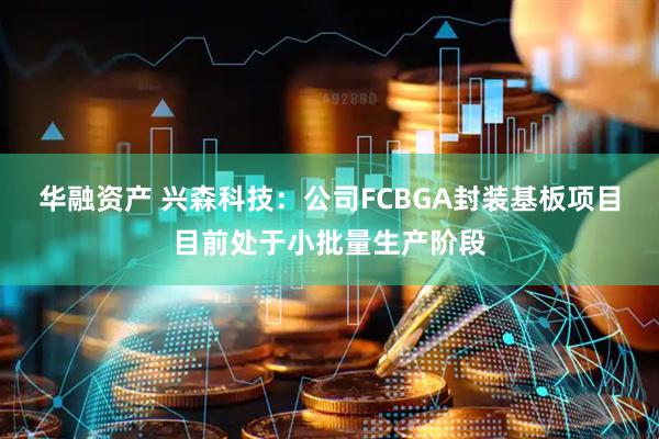 华融资产 兴森科技：公司FCBGA封装基板项目目前处于小批量生产阶段