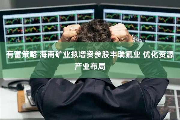 有富策略 海南矿业拟增资参股丰瑞氟业 优化资源产业布局
