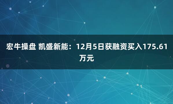 宏牛操盘 凯盛新能：12月5日获融资买入175.61万元